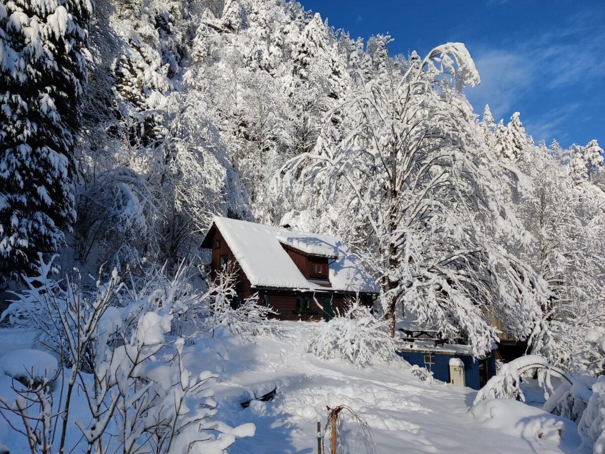 Villa Idyllic Mountain Huette -Gesaeuse Nationalpark à Landl  Extérieur photo