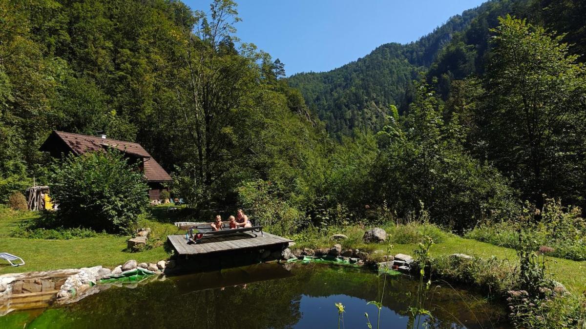 Villa Idyllic Mountain Huette -Gesaeuse Nationalpark à Landl  Extérieur photo